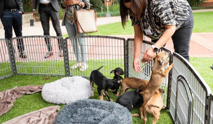 A Dialogue on Education